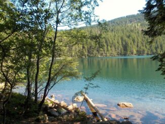 Urlaub Im Böhmerwald