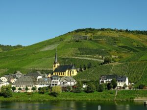 Weinanbau an der Mosel