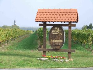Weinbaugemeinde Nackenheim Der fröhliche Weinberg in Nackenheim