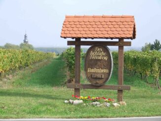 Der fröhliche Weinberg in Nackenheim