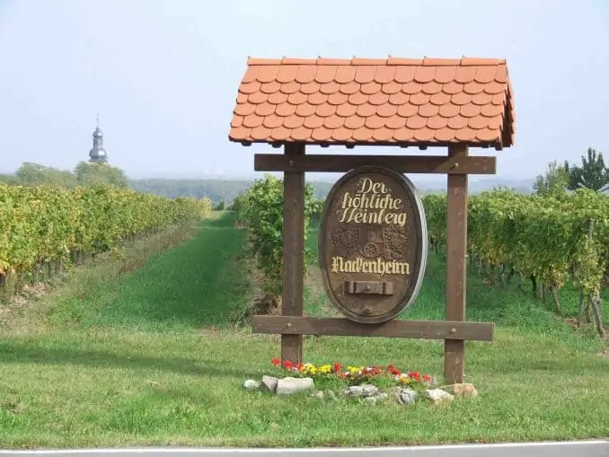 Der fröhliche Weinberg in Nackenheim Der fröhliche Weinberg in Nackenheim