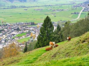 region-saalbach-piesendorf-166-2