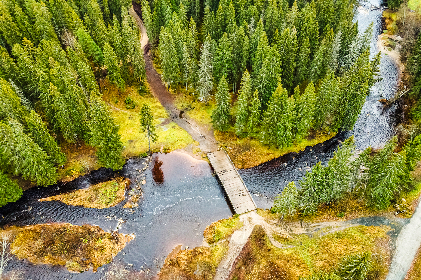 Onegasee / Fluss/ ©Pavel Chepelev/shutterstock.com