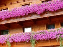 Tirol Bilder 074