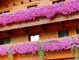 Tirol-Bilder-074 Tirol Bilder 074