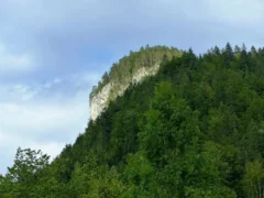 Tirol-Bilder-099 Tirol Bilder 099