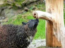 Tirol-Bilder-148 Tirol Bilder 148