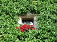 Tirol-Bilder-211 Tirol Bilder 211 1