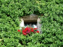 Tirol-Bilder-211 Tirol Bilder 211 1