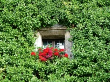 Tirol-Bilder-211 Tirol Bilder 211 1