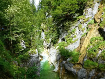 Tirol-Bilder-255 Tirol Bilder 255