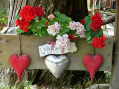 Tirol-Bilder-262 Tirol Bilder 262