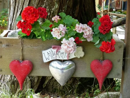 Tirol-Bilder-262 Tirol Bilder 262