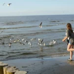 Dzwirzyno - Polnische Ostsee