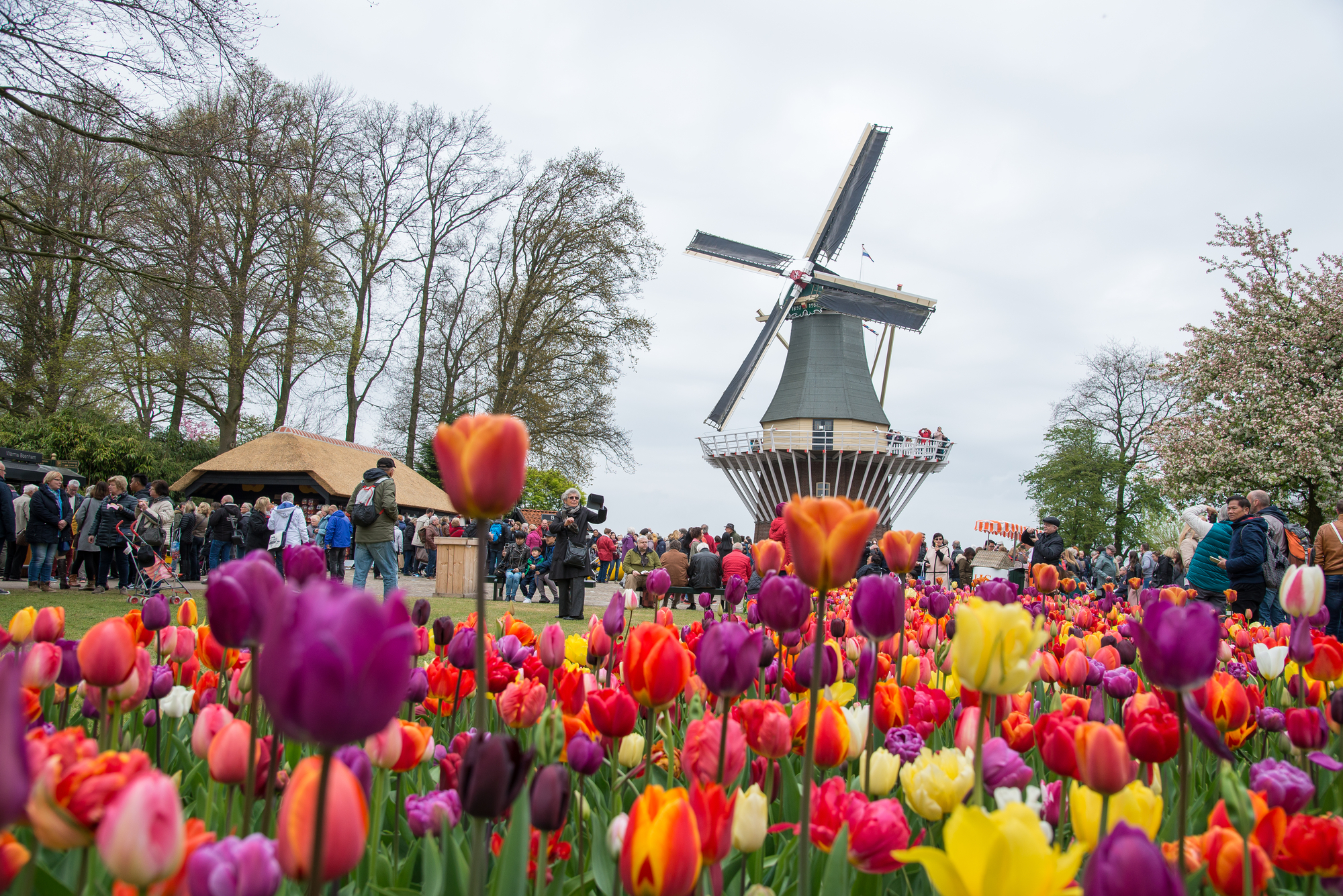 Holländische Windmühle im Park von Amsterdam