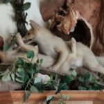 Landhotel Dammenmühle in der Nähe des Europa-Parks Europapark 101