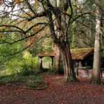 Landhotel Dammenmühle in der Nähe des Europa-Parks Europapark 120