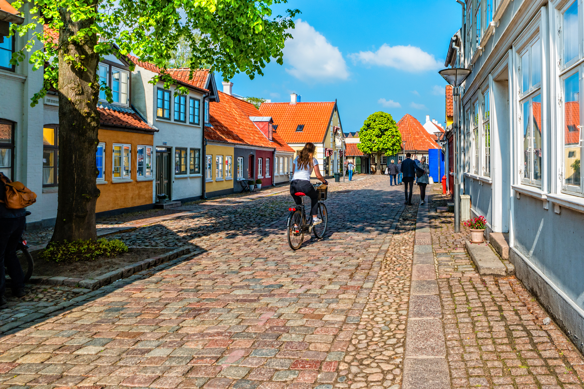 Farbige traditionelle Häuser in Odense