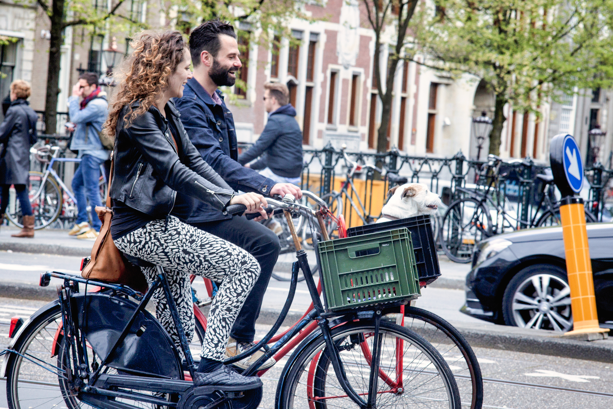 Amsterdam mit Hund