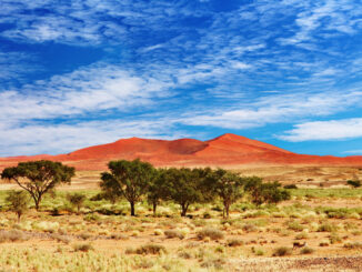 Wüste in Namibia