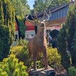 Das Gurkenmuseum im Spreewald Gurkenmuseum Luebbenau 2