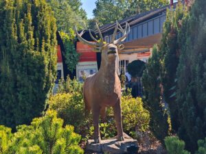 Das Gurkenmuseum im Spreewald Gurkenmuseum Lübbenau 2