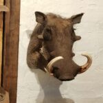 Das Gurkenmuseum im Spreewald Gurkenmuseum Luebbenau 21