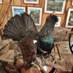 Das Gurkenmuseum im Spreewald Gurkenmuseum Luebbenau 23