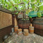 Das Gurkenmuseum im Spreewald Gurkenmuseum Luebbenau 4