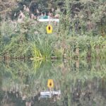Kahnfahrt Spreewald ins Dunkle vom Kleinen Hafen Kahnfahrt Spreewald 13