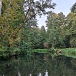 Kahnfahrt Spreewald ins Dunkle vom Kleinen Hafen Kahnfahrt Spreewald 14