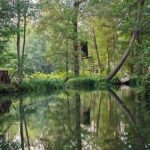 Kahnfahrt Spreewald ins Dunkle vom Kleinen Hafen Kahnfahrt Spreewald 15