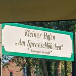 Kahnfahrt Spreewald ins Dunkle vom Kleinen Hafen Kahnfahrt Spreewald 3