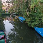 Kahnfahrt Spreewald ins Dunkle vom Kleinen Hafen Kahnfahrt Spreewald 5
