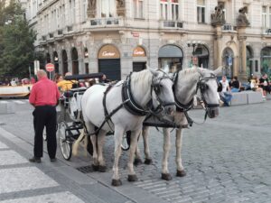 Kutschfahrten in Prag - Was du wissen musst! Kutsche in Prag 3