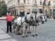Kutsche in Prag 3