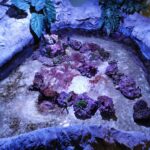 Meeresaquarium am Fichtelberg Meeresaquarium am Fichtelberg 1