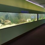 Meeresaquarium am Fichtelberg Meeresaquarium am Fichtelberg 10