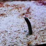 Meeresaquarium am Fichtelberg Meeresaquarium am Fichtelberg 2
