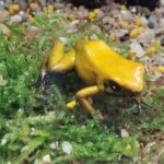 Meeresaquarium am Fichtelberg Meeresaquarium am Fichtelberg 20