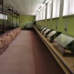 Meeresaquarium am Fichtelberg Meeresaquarium am Fichtelberg 25