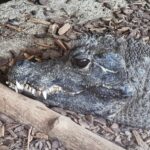 Meeresaquarium am Fichtelberg Meeresaquarium am Fichtelberg 27