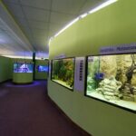 Meeresaquarium am Fichtelberg Meeresaquarium am Fichtelberg 3