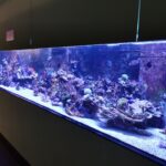 Meeresaquarium am Fichtelberg Meeresaquarium am Fichtelberg 9