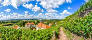 Ausflugsziele in Radebeul Radebeul Weinberge: