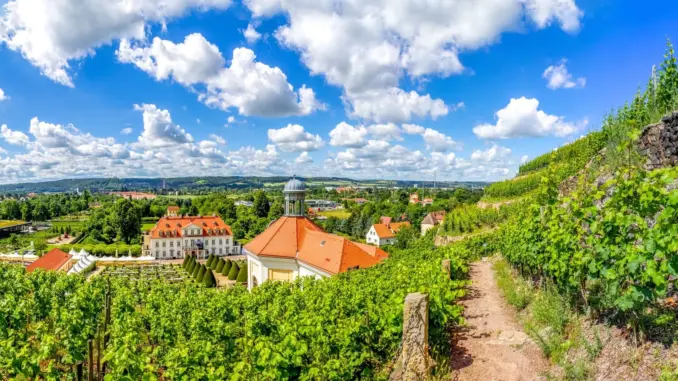 Radebeul Weinberge: