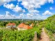 Radebeul Weinberge: